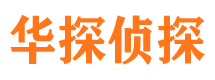 桃江侦探公司